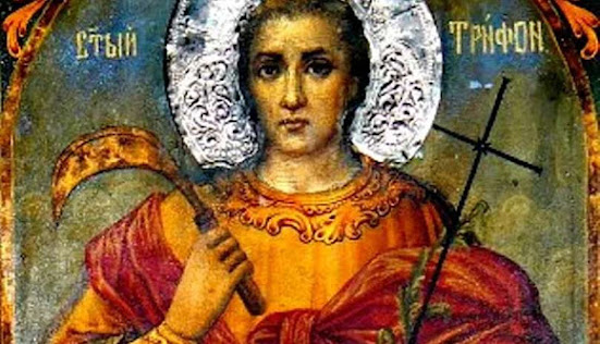 Ο ΑΓΙΟΣ ΜΑΡΤΥΣ ΤΡΥΦΩΝ